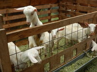 DSCN8317.JPG