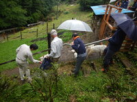 DSCN8325.JPG