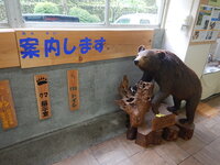 DSCN8331.JPG