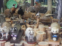 DSCN8338.JPG