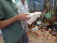 DSCN8344.JPG