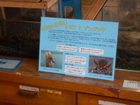 DSCN8349.JPG