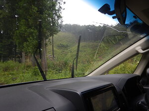 DSCN8376.JPG