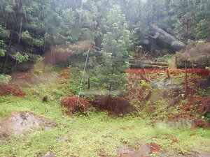 DSCN8378.JPG