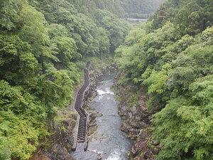 DSCN8405.JPG