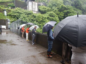 DSCN8407.JPG