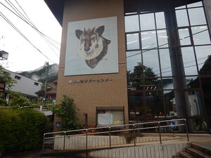 DSCN8445.JPG