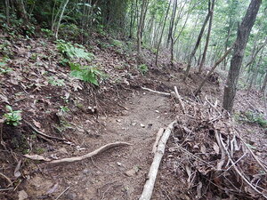 DSCN8553.JPG