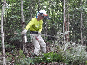 DSCN8559.JPG