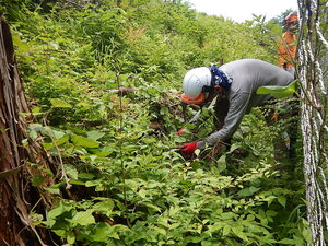 DSCN8588.JPG
