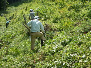 DSCN8612.JPG