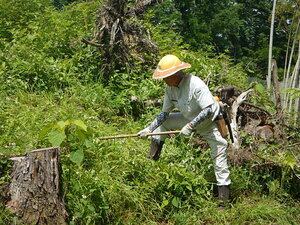 DSCN8617.JPG