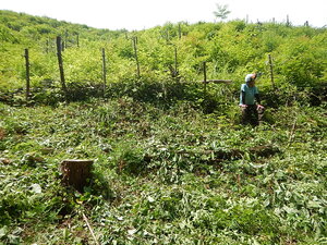 DSCN8621.JPG