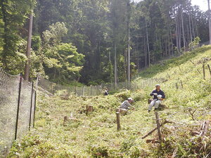 DSCN8623.JPG