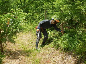 DSCN8647.JPG