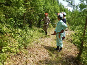 DSCN8650.JPG