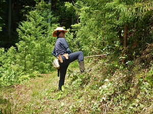 DSCN8660.JPG