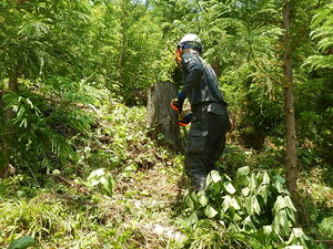 DSCN8678.JPG