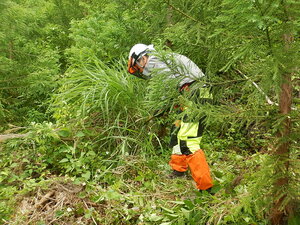DSCN8681.JPG