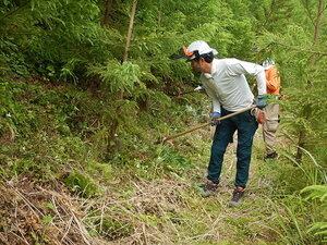 DSCN8692.JPG