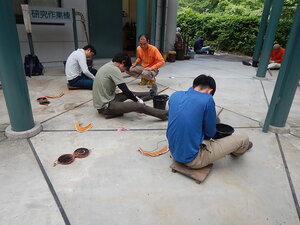 DSCN8719.JPG