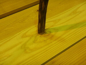 DSCN8737.JPG