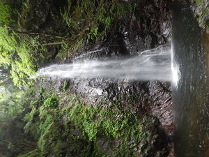 DSCN8758.JPG