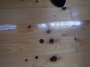 DSCN8762.JPG