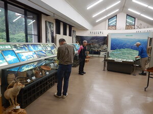 DSCN8774.JPG