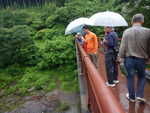 DSCN8800.JPG