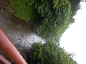 DSCN8803.JPG