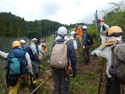 DSCN8825.JPG