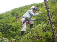 DSCN8862.JPG