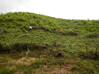 DSCN8879.JPG