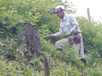 DSCN8887.JPG