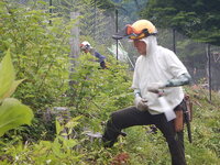 DSCN8903.JPG