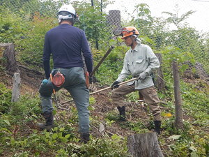 DSCN8943.JPG