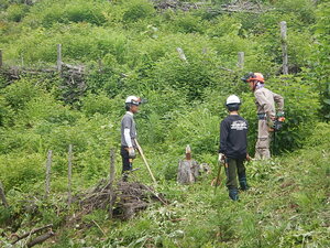DSCN8948.JPG