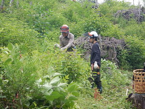 DSCN8956.JPG
