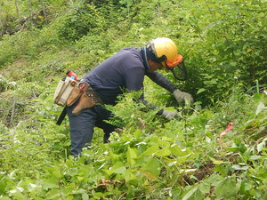 DSCN8958.JPG