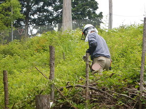 DSCN8959.JPG