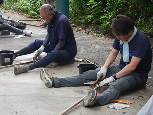 DSCN8992.JPG