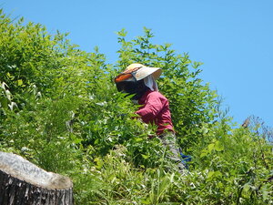 DSCN9022.JPG