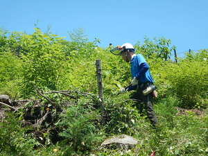 DSCN9023.JPG