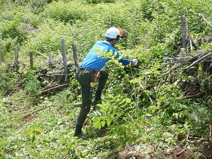 DSCN9032.JPG