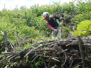 DSCN9033.JPG