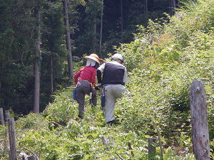 DSCN9037.JPG