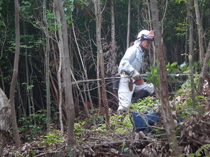 DSCN9081.JPG