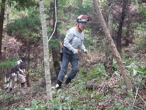 DSCN9144.JPG