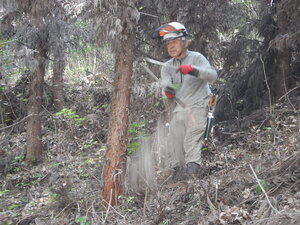 DSCN9161.JPG